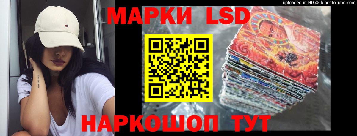 ЛСД экстази кислота  Вход с VPN  Лсд 25 экстази  Курчалой  Лсд 25 экстази кислота 