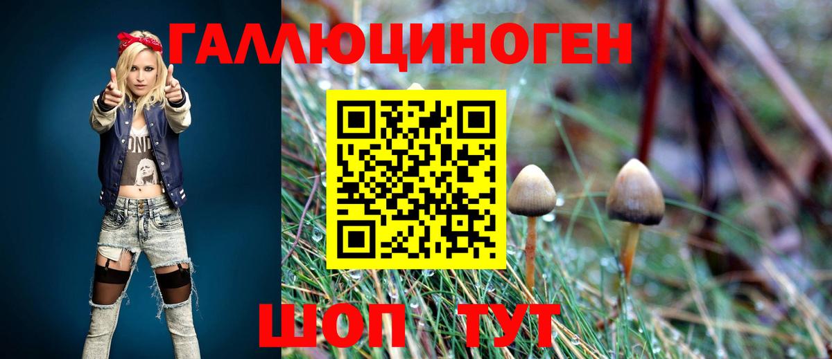 Галлюциногенные грибы мухоморы Курчалой