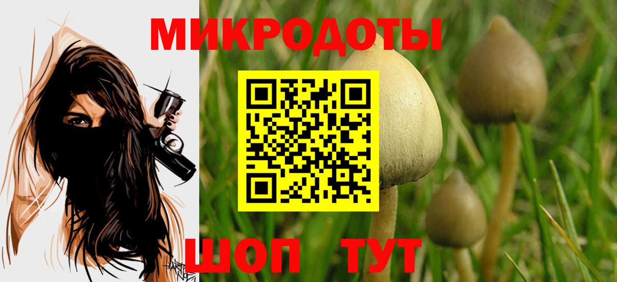 Галлюциногенные грибы Cubensis  Курчалой  Псилоцибиновые грибы мицелий 