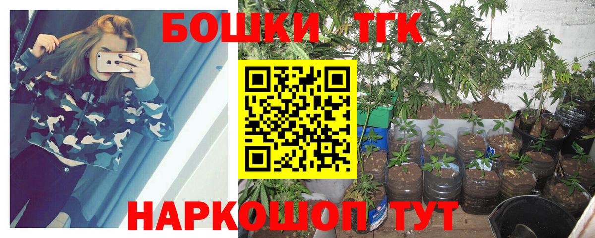 Каннабис план Курчалой